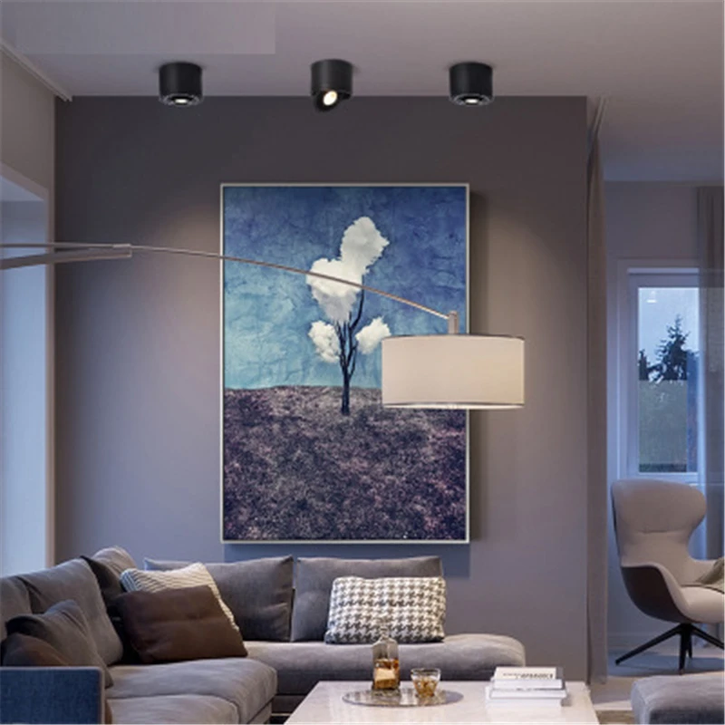 

High Quality Adjustable Dimmable LED Downlight 5W 7W 360 Degree Rotating Surface Mounted COB Downlight 85-265V Indoor Lighting