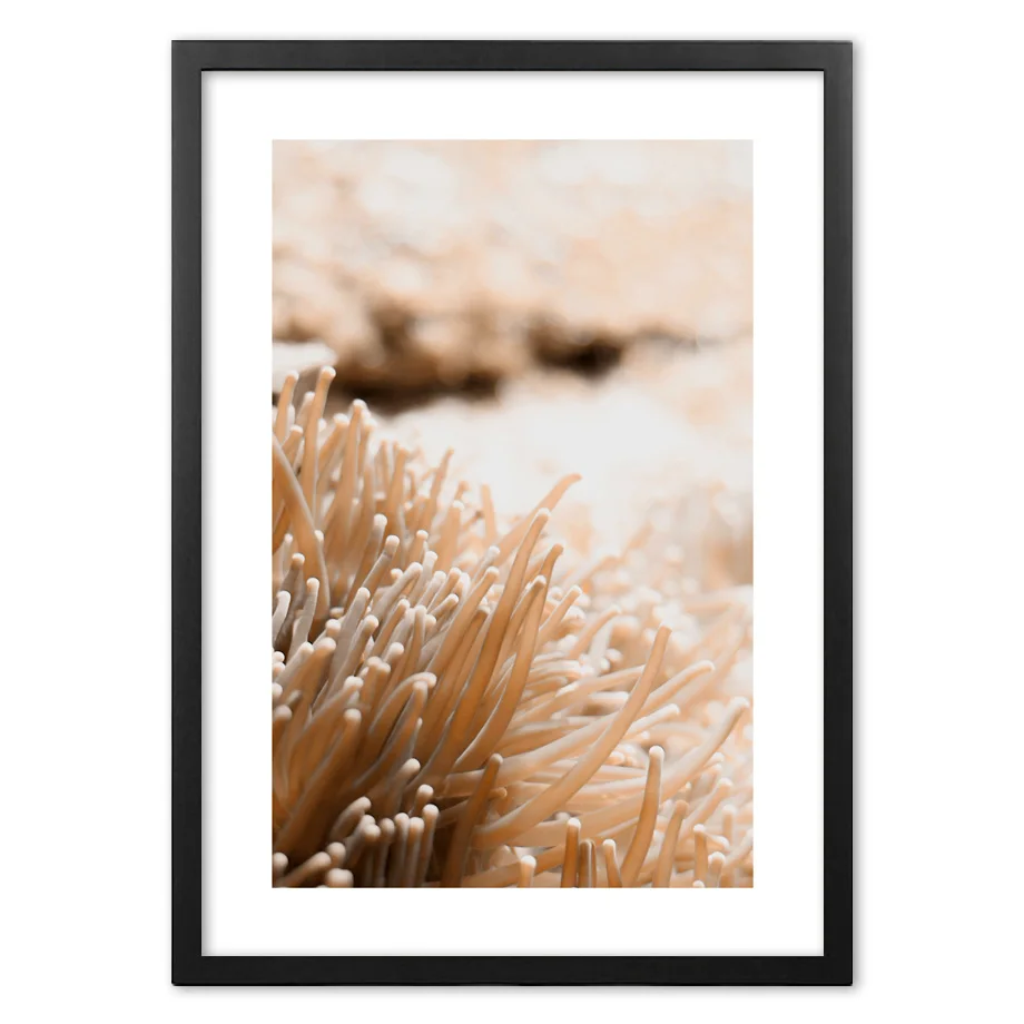 Картина на стену с изображением оранжевого коралла настенные картины в