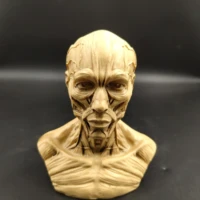 human body simulation resin resin handicraft home furnishings art painting sketch teaching skull