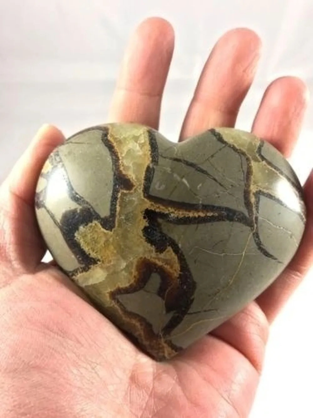 

Natural turtle stone perfect carving heart type