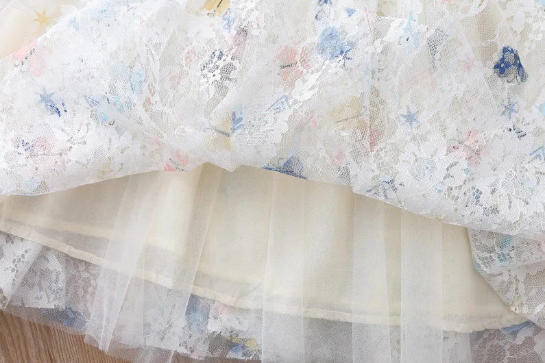 

Toddler Girl Dress Fashion Sweet Princess Lace Dress Cute Buffterfly Dress Ball Gown Kids Clothes Short Sleeve Tutu Dress