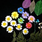 Сушеные цветы для ароматерапии, подвеска из эпоксидной смолы, 1 пакет, для изготовления ожерелий, ювелирных изделий, поделок, сделай сам