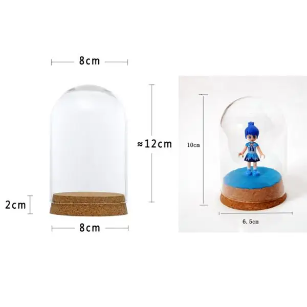 

8x12 & 6.5x10cm Clear Glass Display Dome Cover Cloche Bell Jar Succulent Terrariums with Wood Cork for Office Table Decor DIY