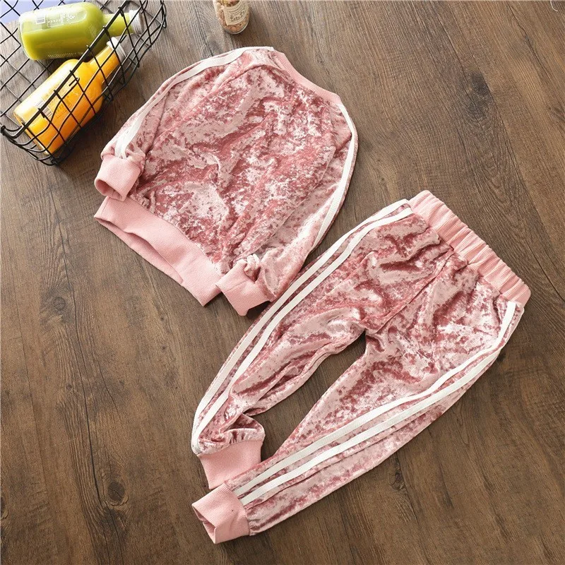 D04-pink Детский костюм; Новинка года; корейский стиль; западный стиль для девочек; костюм для мальчиков; два комплекта; сезон весна-осень; бархатные комплекты - Цвет: D04-pink