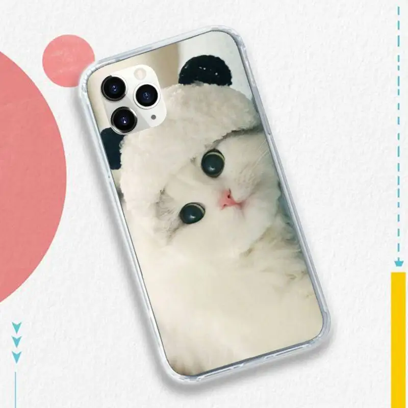 

cat cute animal high quality Phone Case Transparent soft For iphone 5 5s 5c se 6 6s 7 8 11 12 plus mini x xs xr pro max