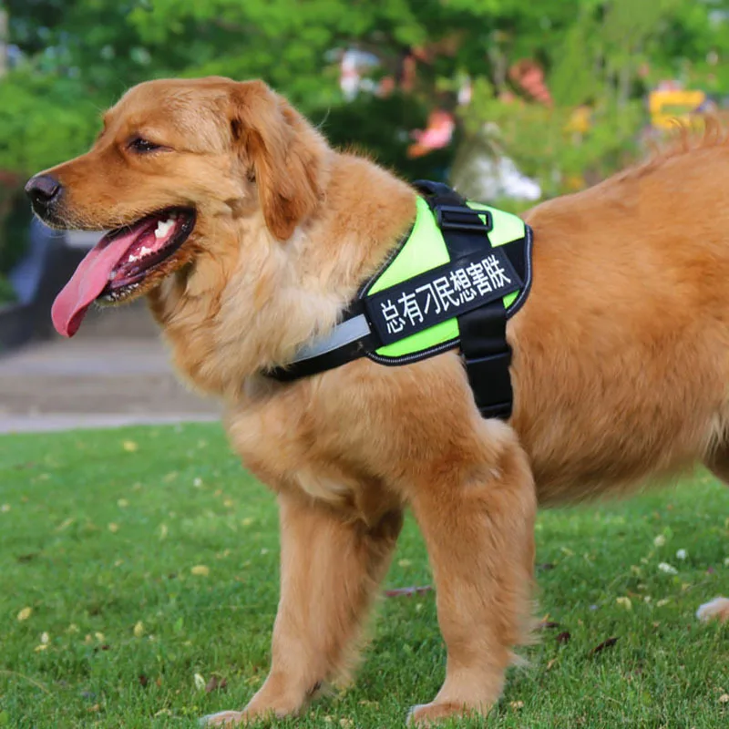 Large Dog Traction Rope Pet Chest Chain Labrador Collar | Дом и сад