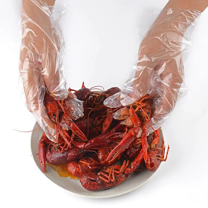 

Disposable gloves edible catering transparent plastic thickened household dishwashing waterproof film durable food wholesale