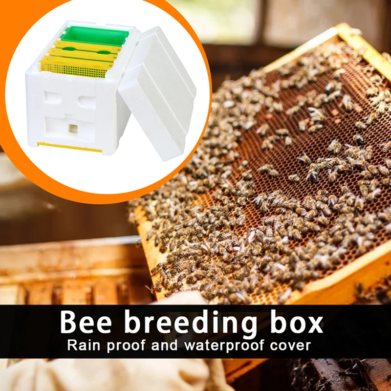 

Queen Bee Breeding Mating Beehive Harvesting Pollination Beehive Box Beekeeper