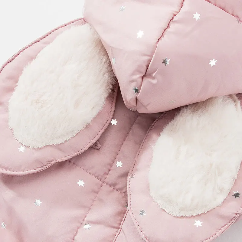 Новый костюм в стиле принцессы для собак на осень/зиму 2019 милая модная одежда с