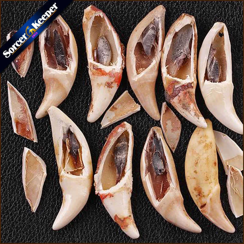 Панк Мода отважный мужской волчий зуб Спайк Кулон настоящая кость ожерелье