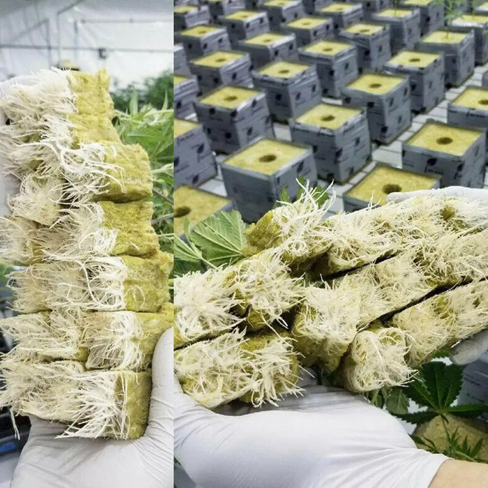 

50Pcs Rockwool Grow Cubes Hydroponics Grow Media Starter Plugs Greenhouse Rockwool Blocks Agricultural Garden Plantig