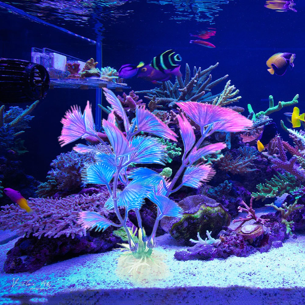 

Fish Aquarium Decorations 1/3pcs Home Artificial Simulation Plants Fish Tank Aquarium Lovely Decoration Aquarium Accessories