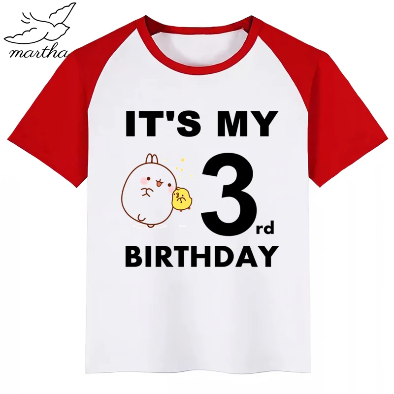 Футболка для мальчиков с номером на день рождения детская одежда милым кроликом