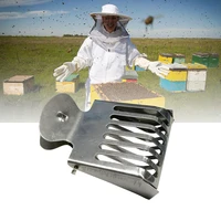 10pcs stainless steel clip bee cage beehive beekeeping clips catcher marking catchers tools apiculture durable equipment tools