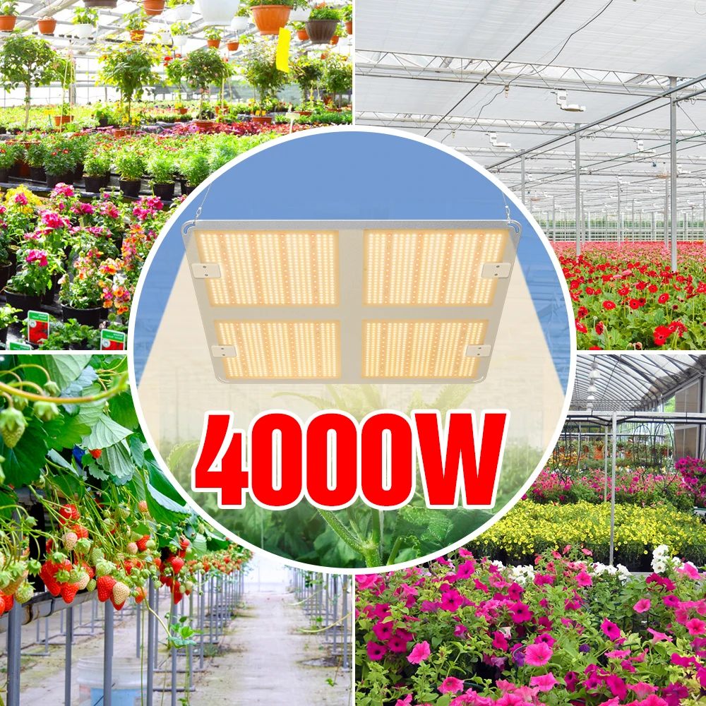 

4000W LED Grow Light LED Lamp For Plants 220V Indoor Plants Seeds Lampara 110V Hydroponics Bulb Greenhouse Bombillas 1000W 2000W