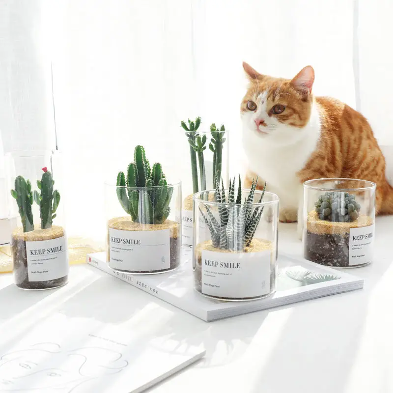 Стеклянная Маленькая ваза Скандинавская банка современный дизайн настольный