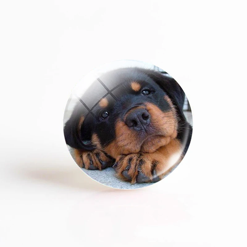 5 шт./лот изображение собаки-бульдога таксы сделай сам 25 мм круглый стеклянный