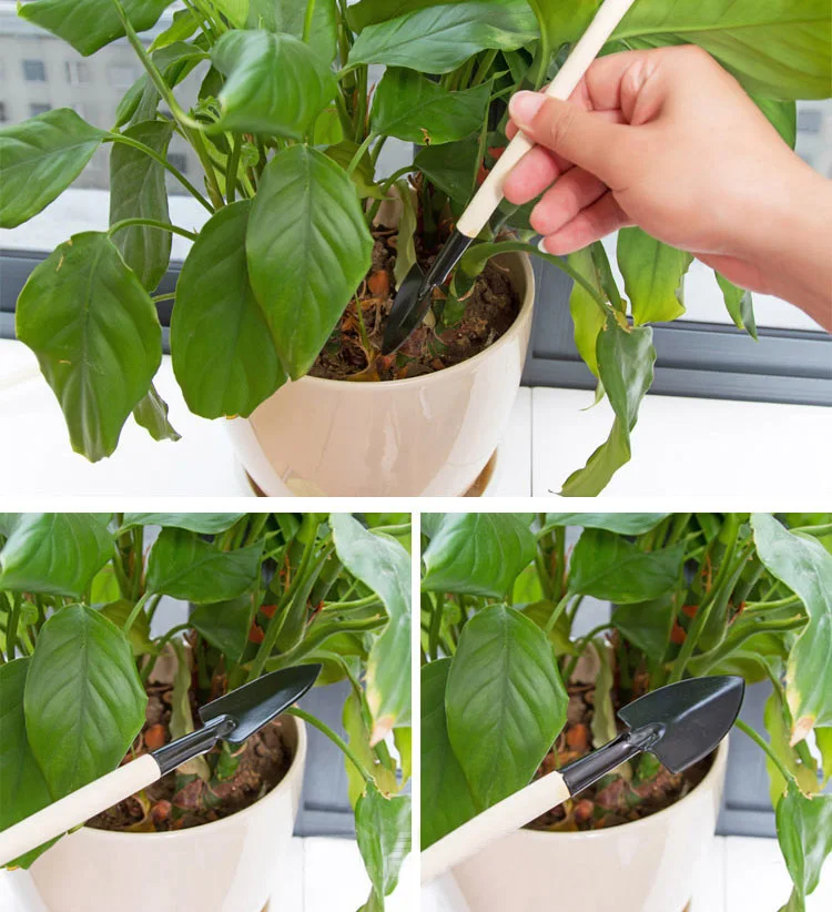 3 шт./компл. DIY посадки цветок суккуленты мини лопата грабли деревянная ручка
