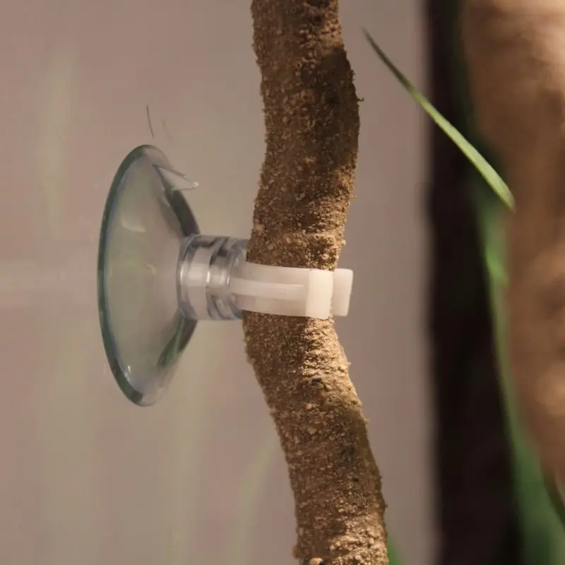 C Рептилия Танк Ландшафтный тропический лес украшения Artcifial поддельные ротанга Хамелеон ящерица скалолазание лозы тропический лес танк украшения - Цвет: C