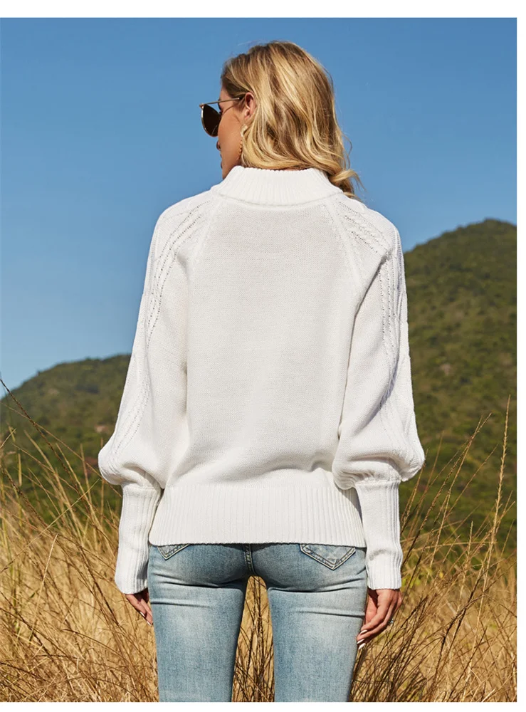 

Solid Lantern Sleeve Sweater Women 2021 New Knitted Pullover Office Lady Fashion Clothing Casual Loose Sweaters Female Y112