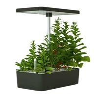 Modern Design Automatic Hydroponic System with LED Grow Lights Real Indoor Urban Garden