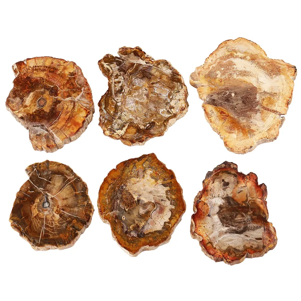 

TUMBEELLUWA Natural Petrified Wood Stone Slice Coasters Cup Mat Polished Irregular Shape Stone Home Decoration 3.3"-4.7"