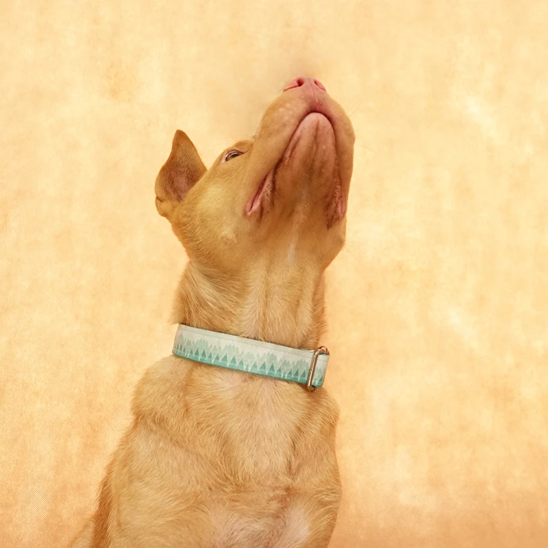 MUTTCO Розничная торговля свежий стиль воротник зеленый горный принт ошейник 5