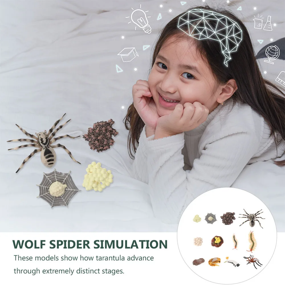 

3 Sets Insects Life Cycle Models of Mosquito Tarantula and Centipede Kids Toys