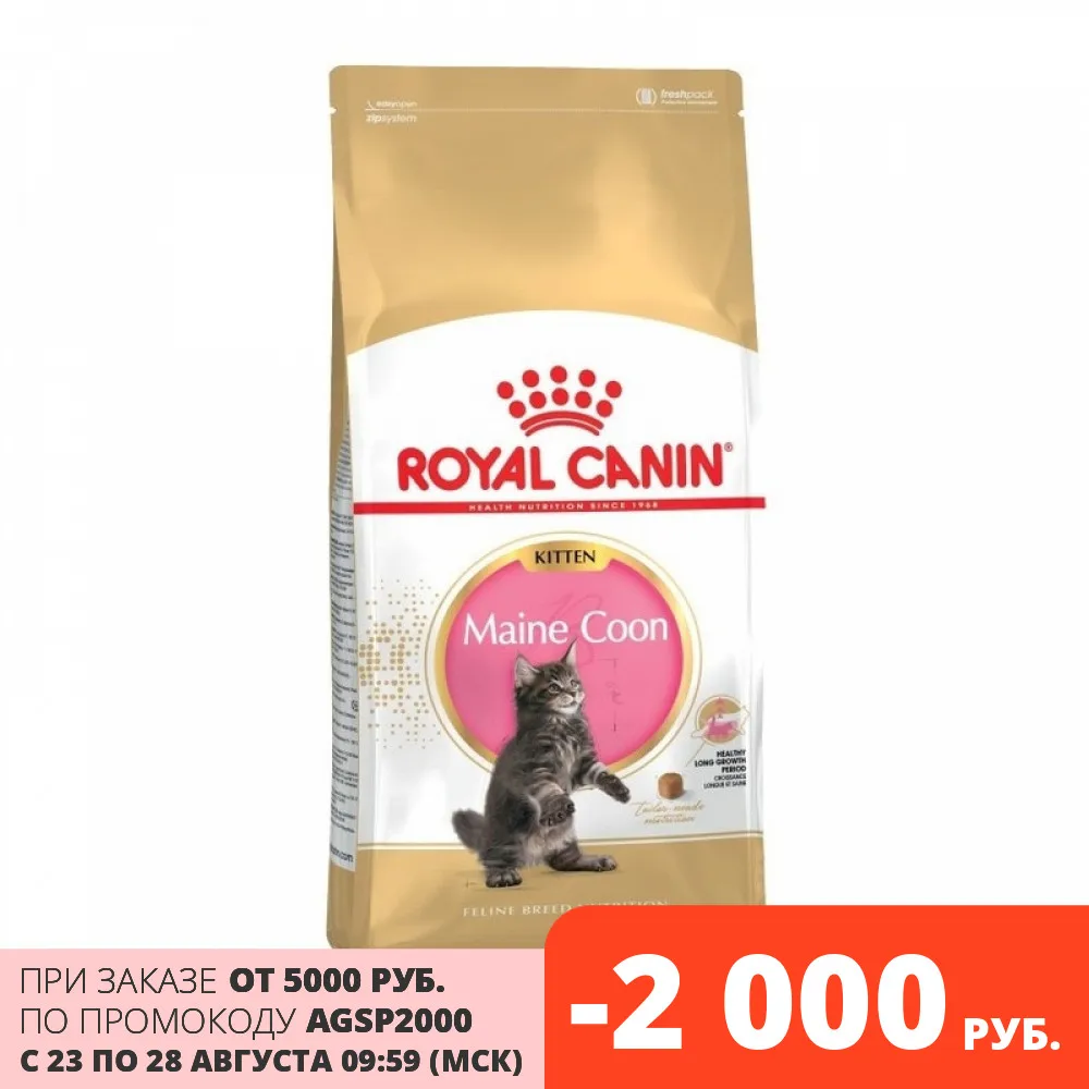 Royal Canin Maine Coon Kitten корм для котят породы мейн кун 10 кг|Кошачий сухой корм| |