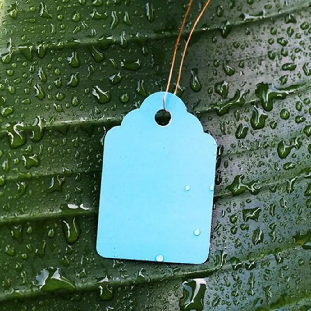100 шт Портативные растения бирки маркеры садовые питомники плантаторы Висячие