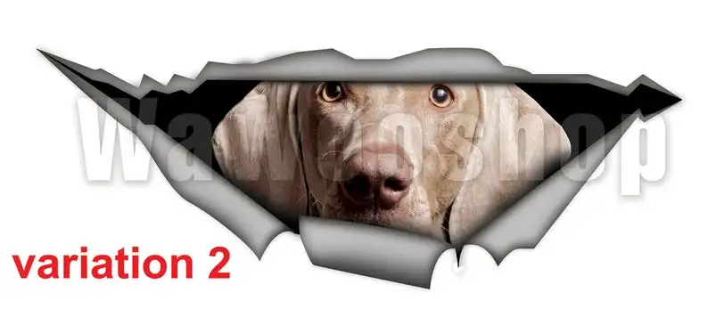 

2021 Weimaraner car decal , pet decal, Vinyl decal, weimaraner sticker, funny decal, dog sticker