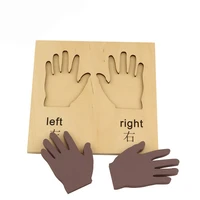 montessori sensorial right and left hands early education hand eye coordinate know intelligence development