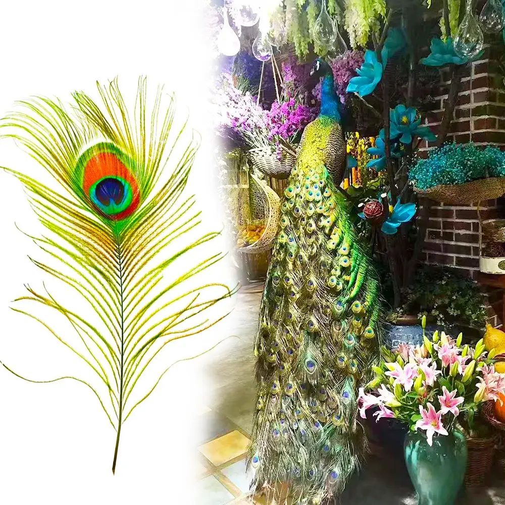 20/30/50 шт. птица павлина | Дом и сад
