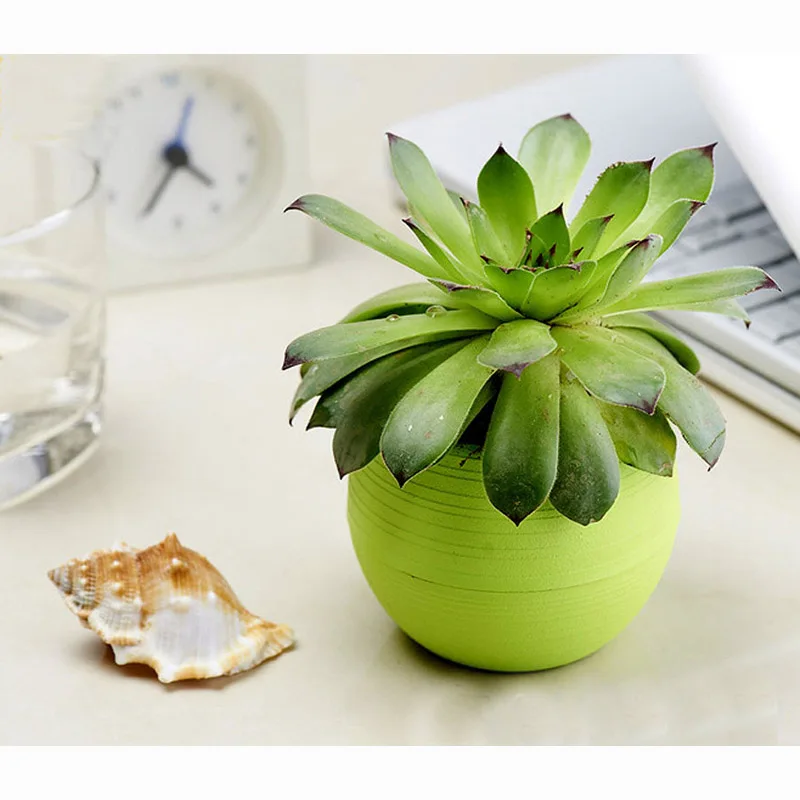 1 шт. цветной пластиковый мини цветочный горшок|potted meat|potted hydrangeaflower pot hanger |