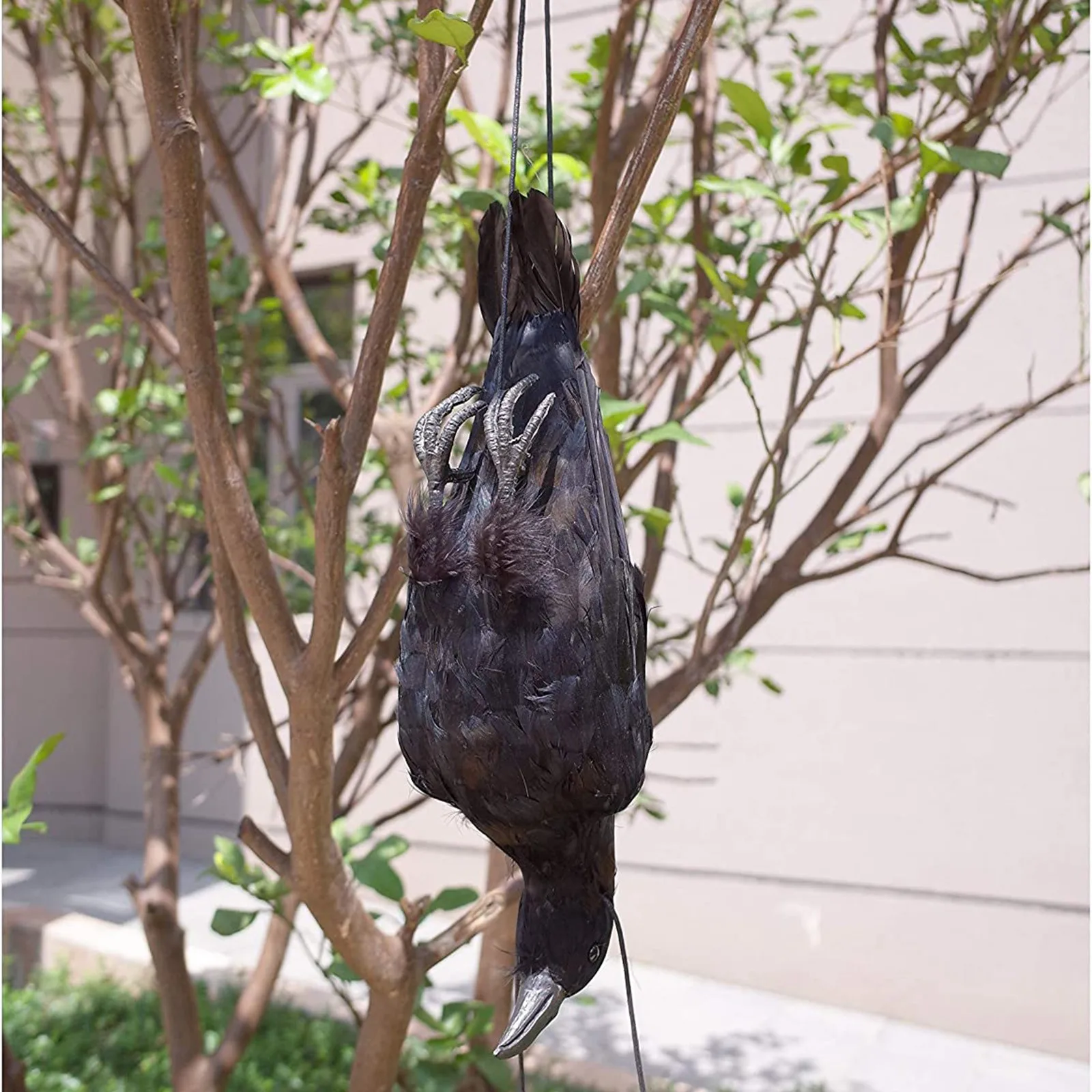 

Realistic Hanging Dead Crow Decoy Lifesize Extra Large Black Feathered Crow home decoration accessories