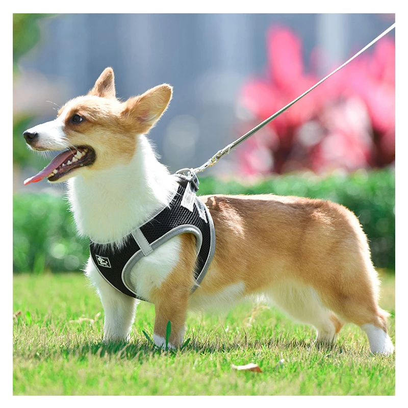 Супер дышащий поводок для домашних животных нагрудный ремень поводки светится в