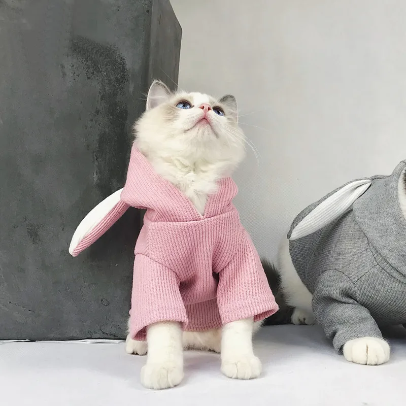 Одежда для собак с заячьими ушками новая одежда кошек и свитер французская