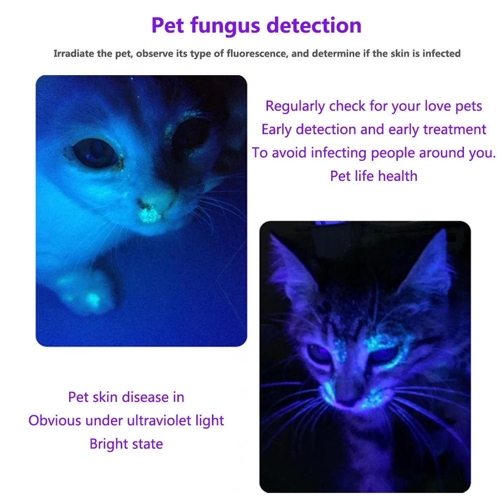 

AloneFire SV005 UV led Flashlight 365nm Invisible Torch Urine Stains Detector Passport currency Blood check Portable flashlight