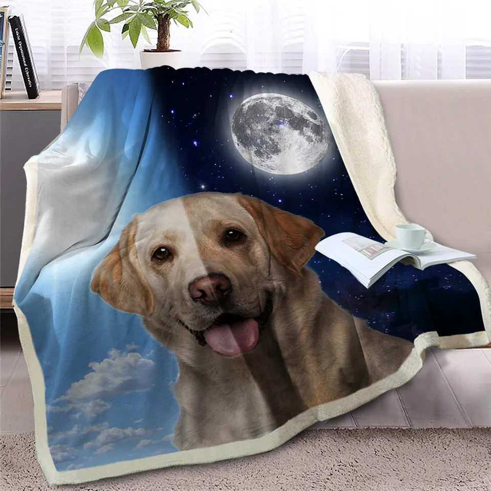 Blesslive одеяло для питомца собаки шерпы на кровать 3D Border Collie Throw Одеяло покрывало для животных день и ночь небо пейзаж чехол для дивана