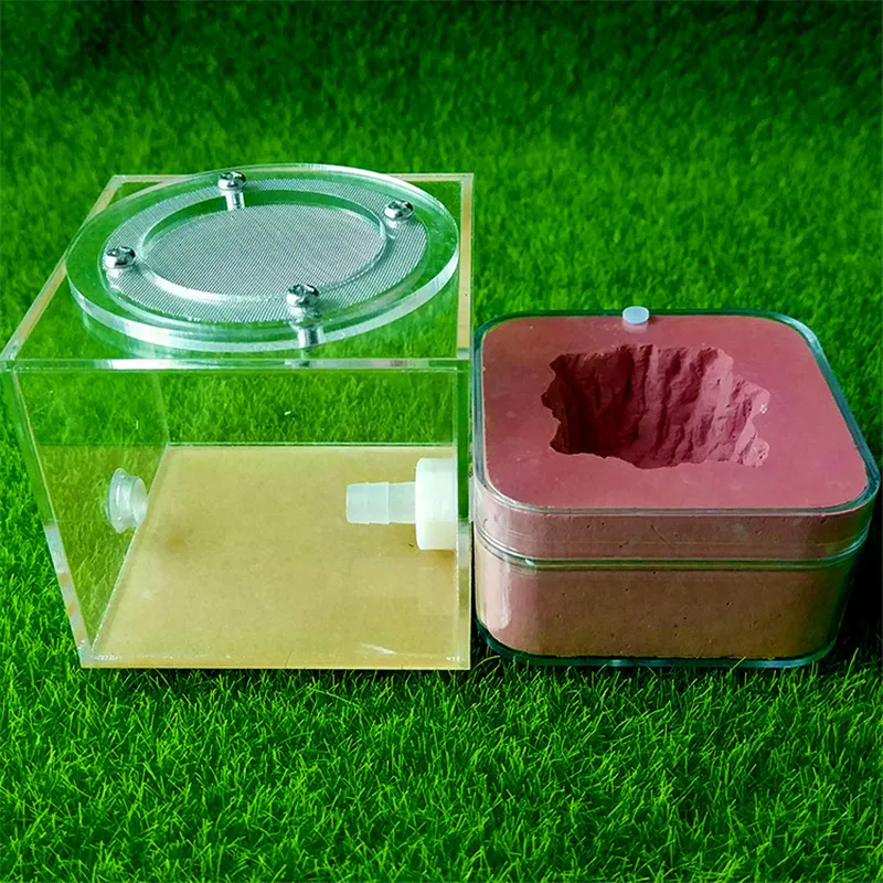 Штукатурка Муравьиное гнездо акриловая муравьиная ферма муравьев королева дом