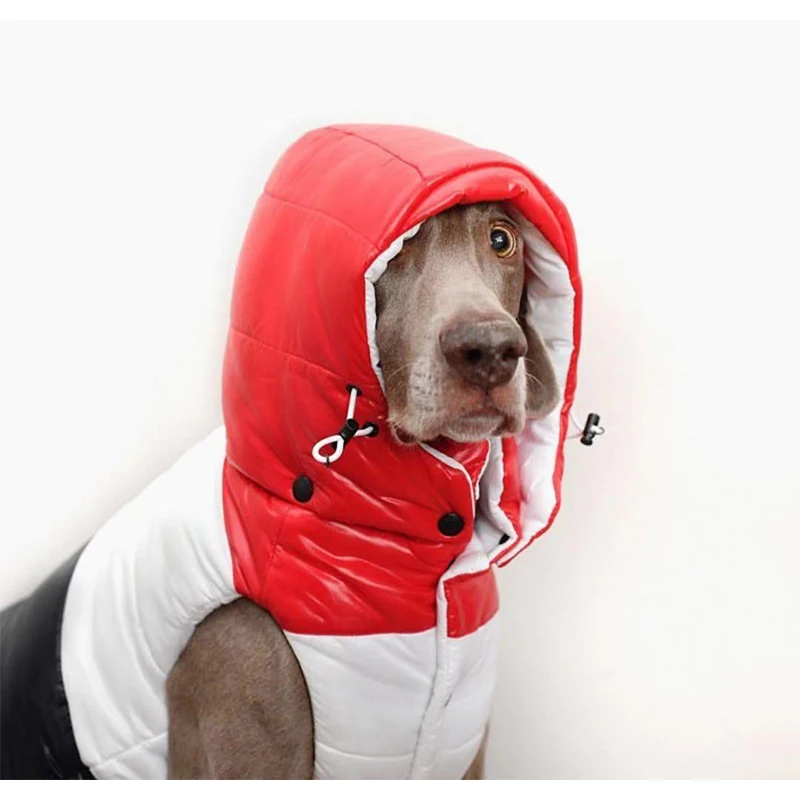 

Одежда для собак маленькая яркость для французского бульдога Чихуахуа наряд хлопковая куртка для йорков одежда для щенков PC2012