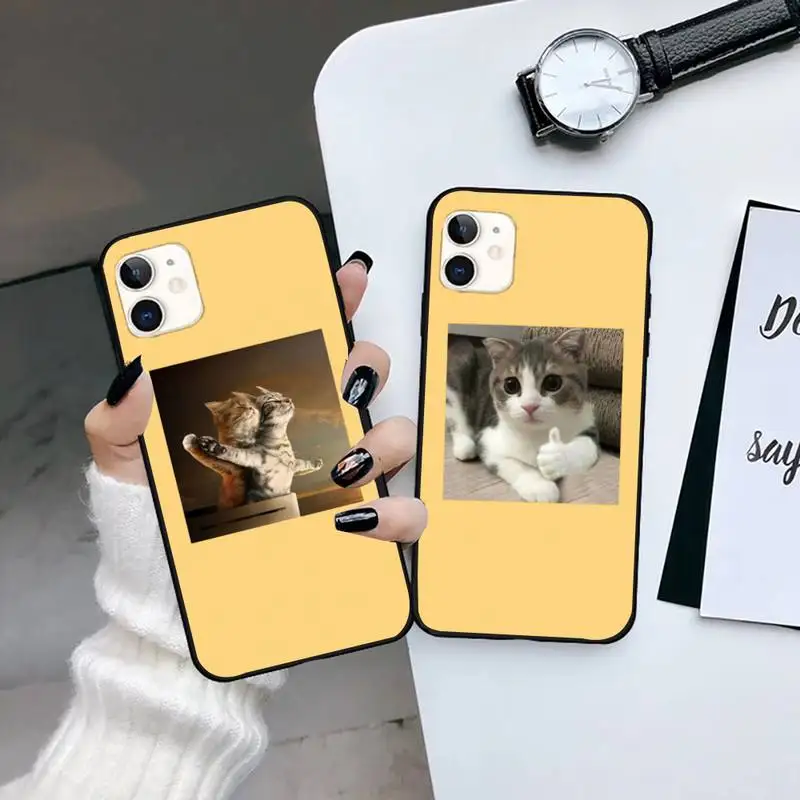 

Aesthetic Cute Animal Cat Phone Case for iPhone 7 8 11 12 Pro X XS XR Samsung A S 6 7 9plus 10plus 21s 71 funda cover