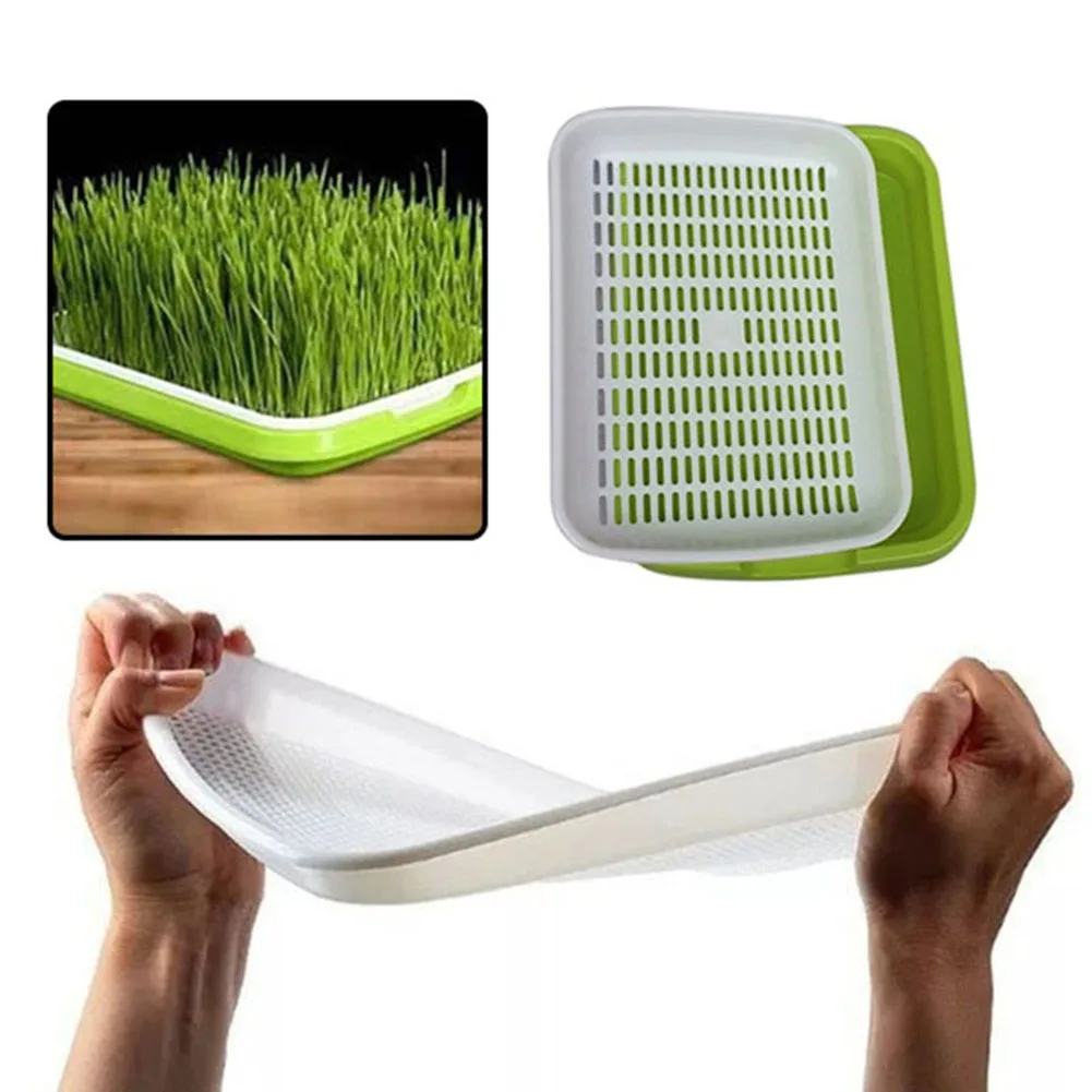 Поднос для семян без почвы большая емкость вспенивающая трава коробка