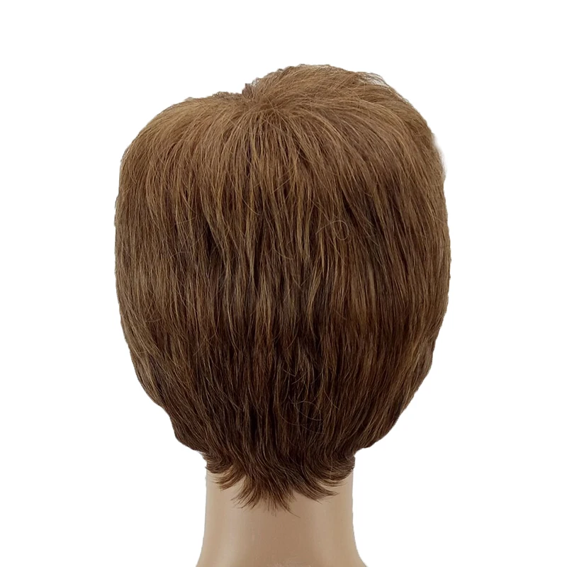 HAIRJOY синтетические волосы парики для мужчин короткие прямые парик термостойкие 2 цвета доступны