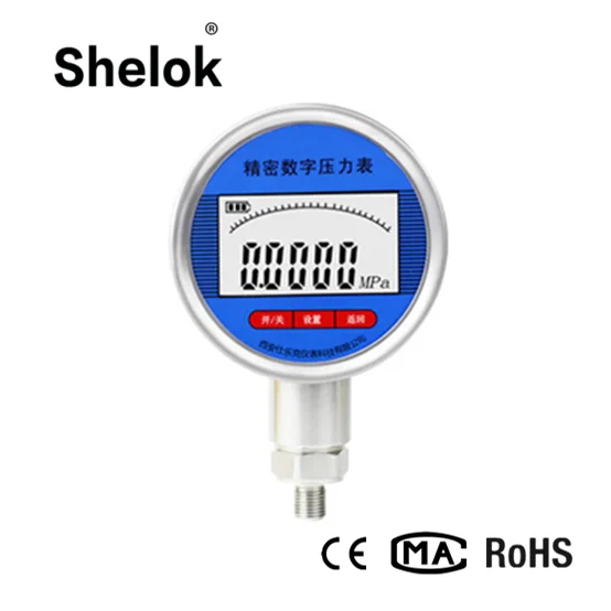

RS485 digital hydraulic pressure gauge water manometer