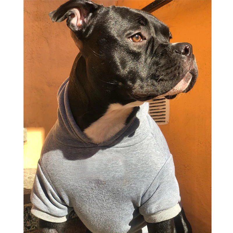 

Letter Print Cotton French Bulldog Hoodies for Pug Cosutme S-2XL PC1424