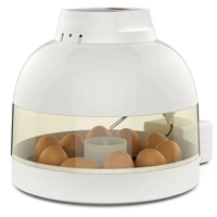ce approved manual egg turning automatic egg incubator