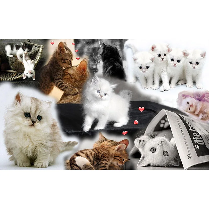 5D DIY полностью квадратные милые кошки и котята Алмазная картина вышивка