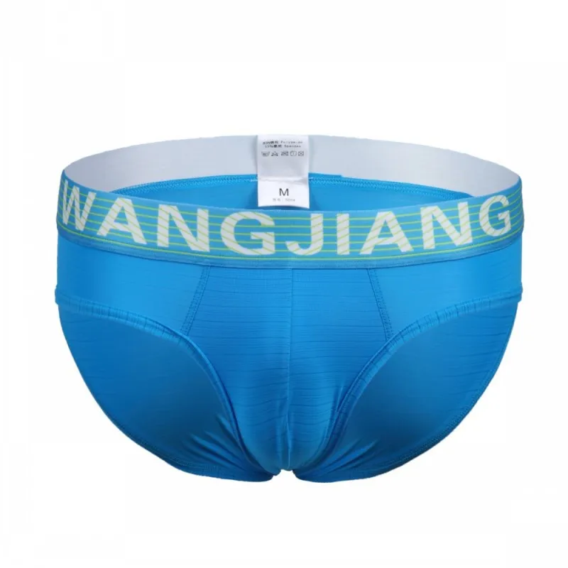 WJ Men briefs sexy underwear shorts men G-strings gay penis pouch Jockstraps Nylon Silky Sheer underpants |