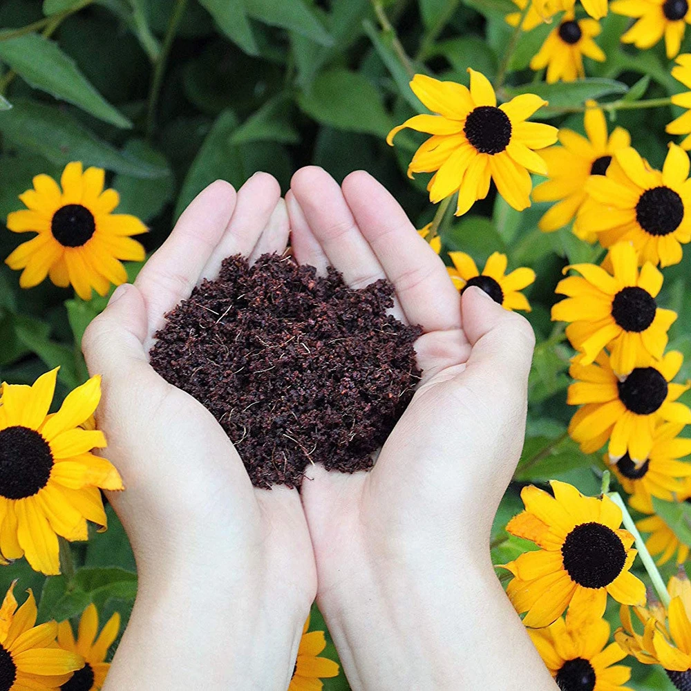 Кастрюля из кокосового волокна для детского сада 5 шт.|Детские горшки| |